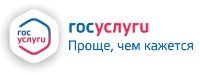 Госуслуги без очереди